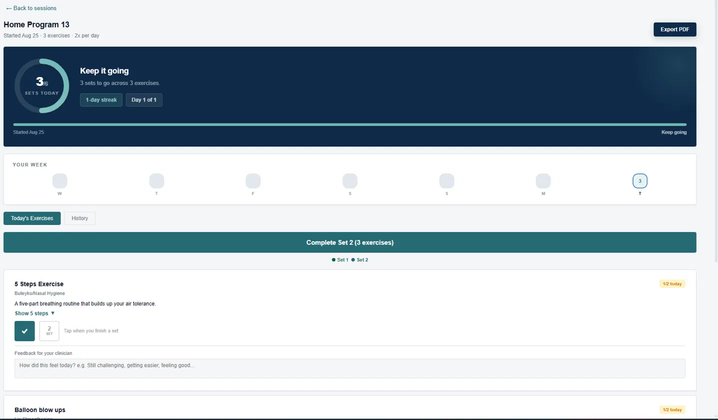 Client portal home program showing sets completed today, the weekly streak, and per-exercise check-offs